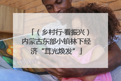 （乡村行·看振兴）内蒙古东部小镇林下经济“茸光焕发”